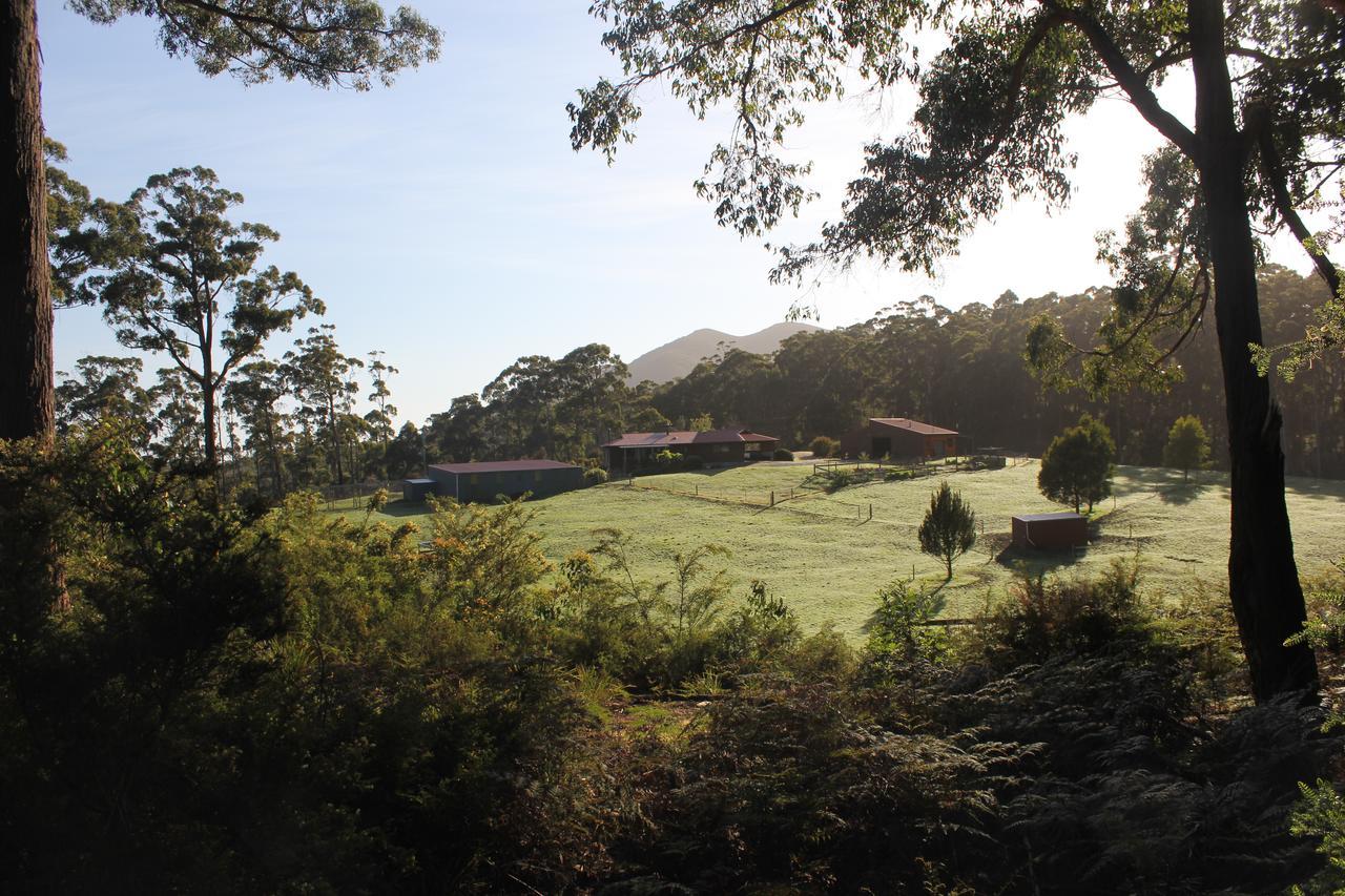 Eagle'S Roost Farmstay B&B Rocky Cape Экстерьер фото