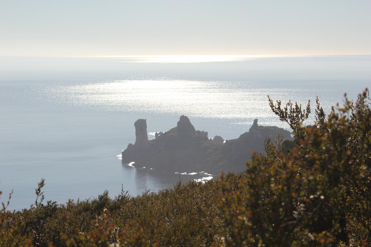 Eagle'S Roost Farmstay B&B Rocky Cape Экстерьер фото